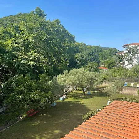 Exohi Vrasna